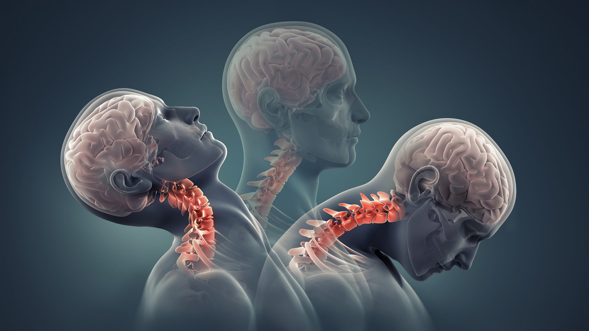 Reconnection Chiropractic Office